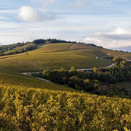 Ca' Del Moro Wine Retreat Hotell Grezzana Eksteriør bilde