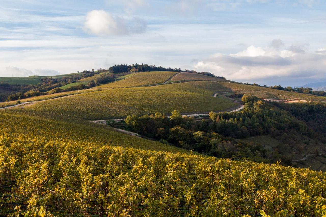 Ca' Del Moro Wine Retreat Hotell Grezzana Eksteriør bilde